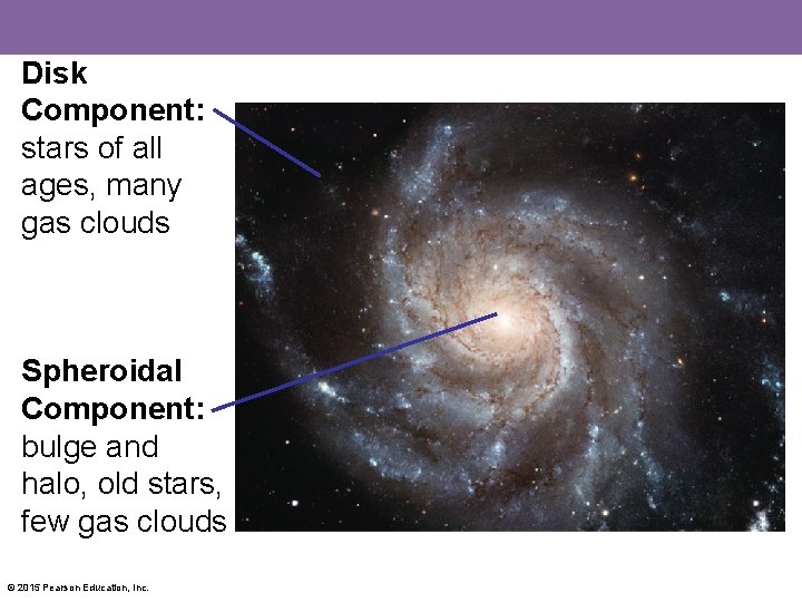 Disk Component: stars of all ages, many gas clouds Spheroidal Component: bulge and halo,