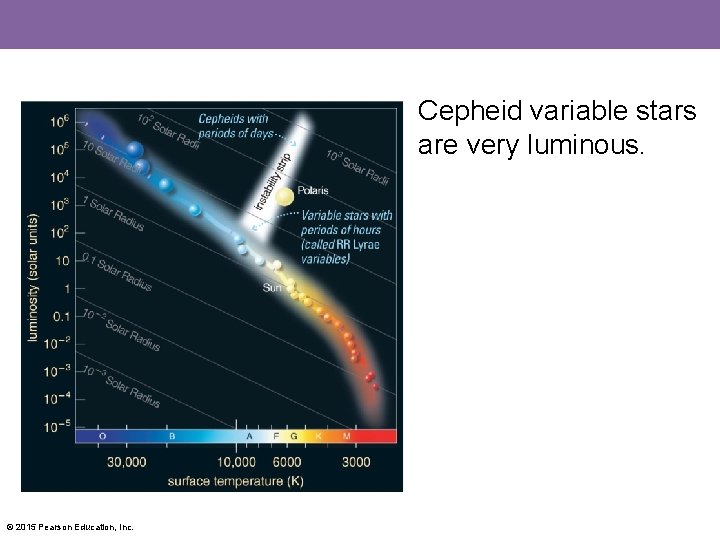 Cepheid variable stars are very luminous. © 2015 Pearson Education, Inc. 