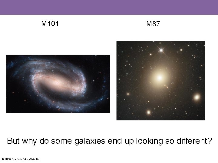 M 101 M 87 But why do some galaxies end up looking so different?