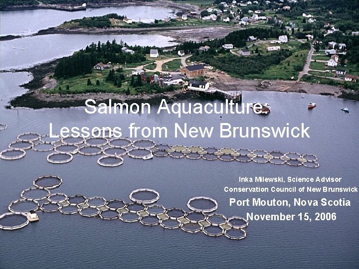 Salmon Aquaculture: Lessons from New Brunswick Inka Milewski, Science Advisor Conservation Council of New