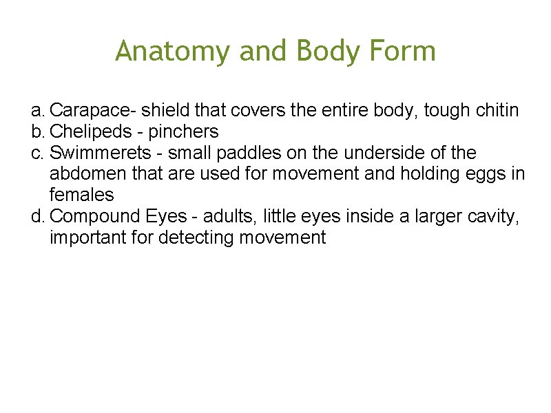 Anatomy and Body Form a. Carapace- shield that covers the entire body, tough chitin