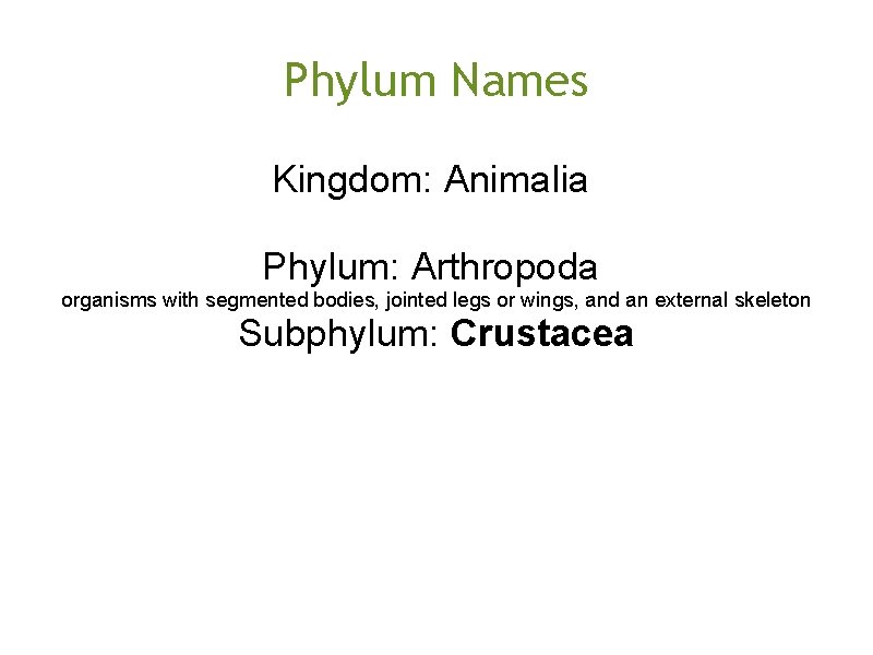 Phylum Names Kingdom: Animalia Phylum: Arthropoda organisms with segmented bodies, jointed legs or wings,