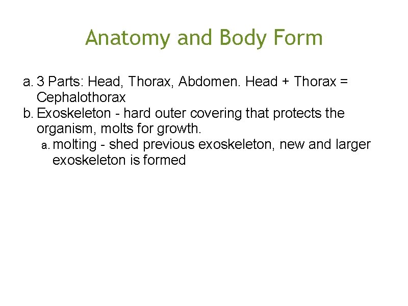Anatomy and Body Form a. 3 Parts: Head, Thorax, Abdomen. Head + Thorax =