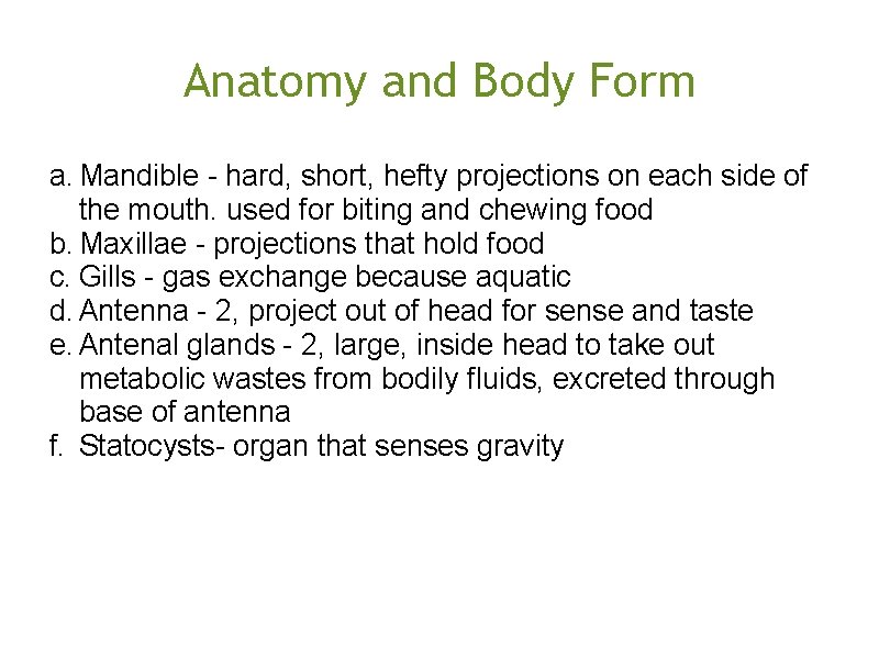 Anatomy and Body Form a. Mandible - hard, short, hefty projections on each side