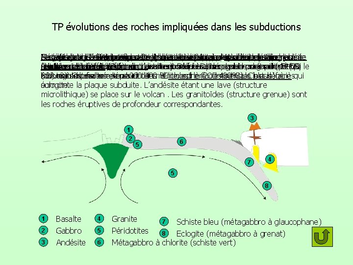 TP évolutions des roches impliquées dans les subductions Le métagabbro à chlorite est un