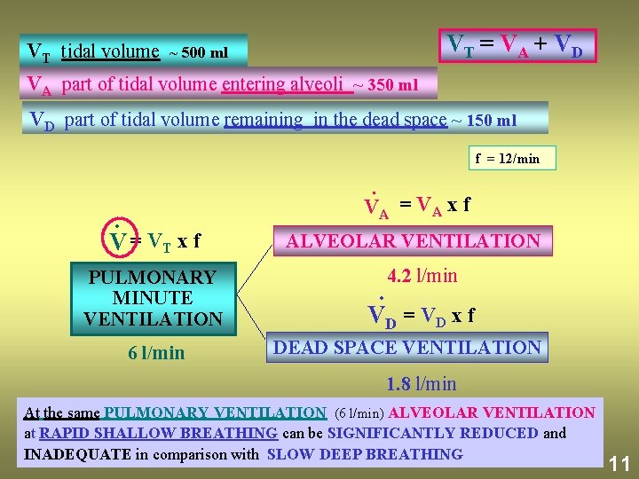 VT = VA + VD VT tidal volume ~ 500 ml VA part of