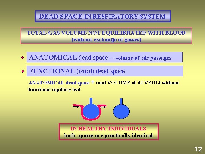  DEAD SPACE IN RESPIRATORY SYSTEM TOTAL GAS VOLUME NOT EQUILIBRATED WITH BLOOD (without