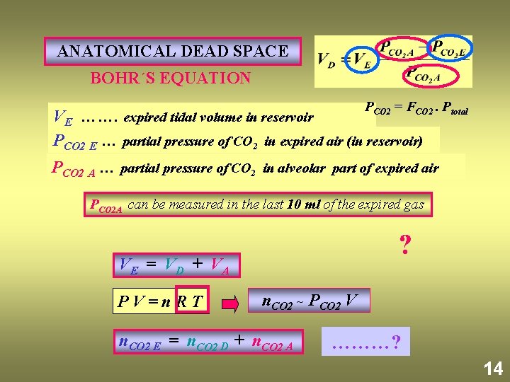 ANATOMICAL DEAD SPACE BOHR´S EQUATION P = F CO 2 VE ……. expired tidal