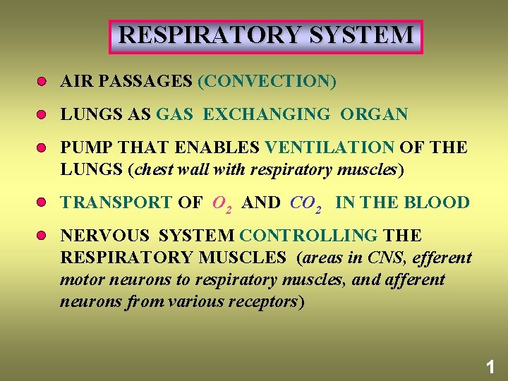 RESPIRATORY SYSTEM AIR PASSAGES (CONVECTION) LUNGS AS GAS EXCHANGING ORGAN PUMP THAT ENABLES VENTILATION