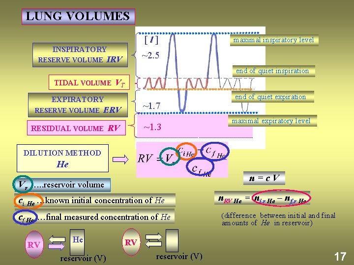 LUNG VOLUMES [ l ] INSPIRATORY RESERVE VOLUME IRV maximal inspiratory level ~2. 5