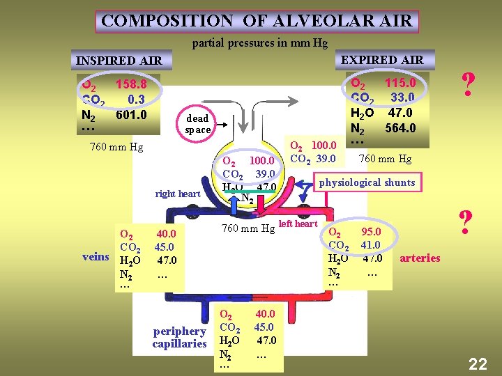 COMPOSITION OF ALVEOLAR AIR partial pressures in mm Hg EXPIRED AIR INSPIRED AIR O