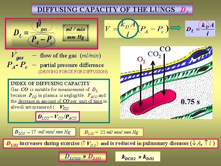  DIFFUSING CAPACITY OF THE LUNGS DL · Vgas – flow of the gas