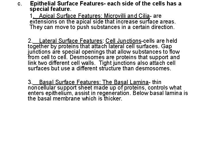 c. Epithelial Surface Features- each side of the cells has a special feature. 1.