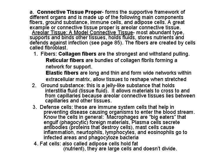 a. Connective Tissue Proper- forms the supportive framework of different organs and is made