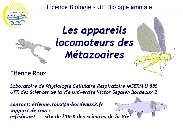 Licence Biologie - UE Biologie animale Les appareils locomoteurs des Métazoaires Etienne Roux Laboratoire