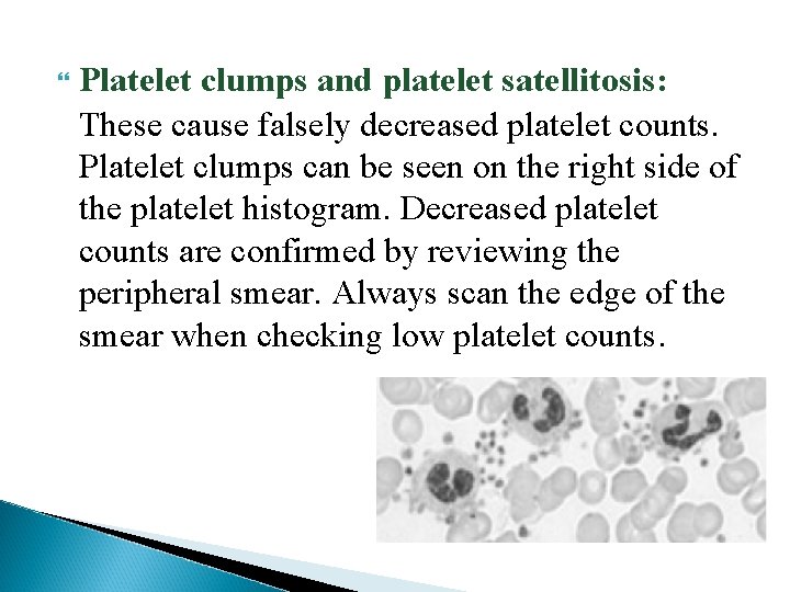  Platelet clumps and platelet satellitosis: These cause falsely decreased platelet counts. Platelet clumps