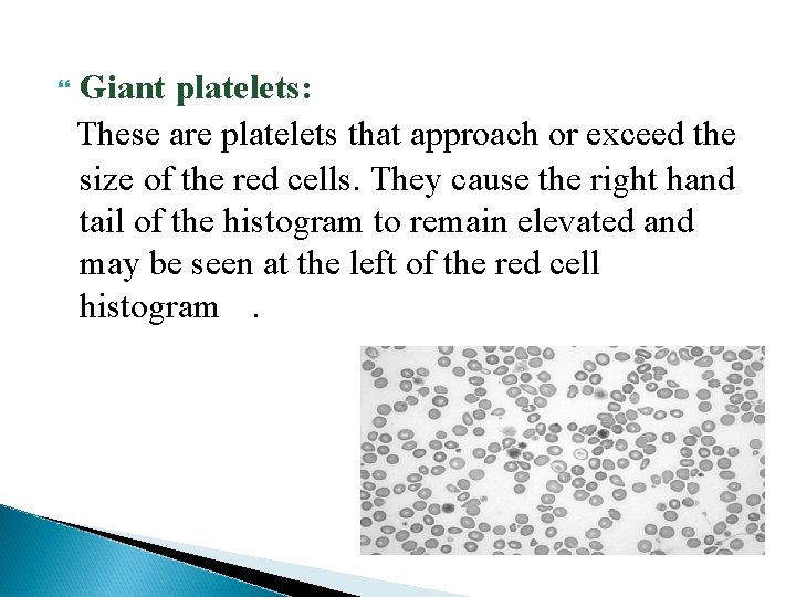 Giant platelets: These are platelets that approach or exceed the size of the Giant platelets: These are platelets that approach or exceed the size of the