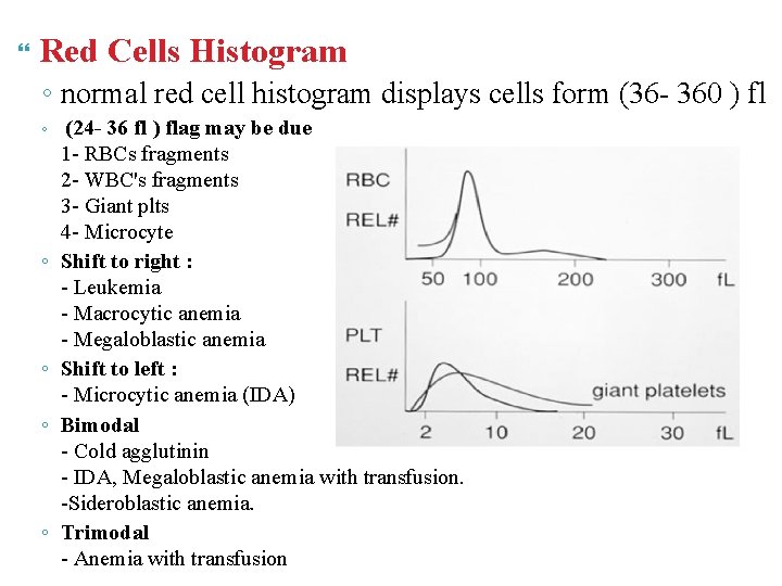  Red Cells Histogram ◦ normal red cell histogram displays cells form (36 -