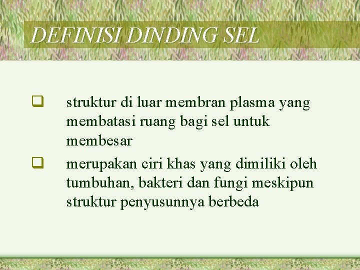 DEFINISI DINDING SEL q q struktur di luar membran plasma yang membatasi ruang bagi