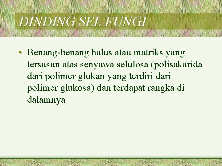 DINDING SEL FUNGI • Benang-benang halus atau matriks yang tersusun atas senyawa selulosa (polisakarida