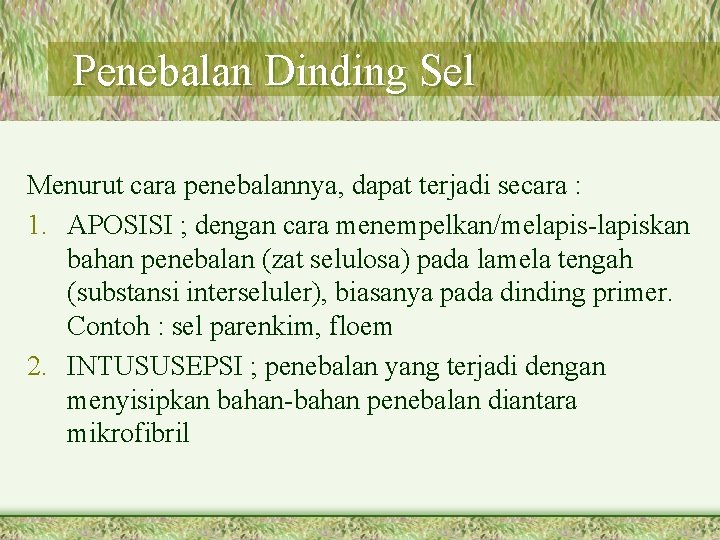 Penebalan Dinding Sel Menurut cara penebalannya, dapat terjadi secara : 1. APOSISI ; dengan