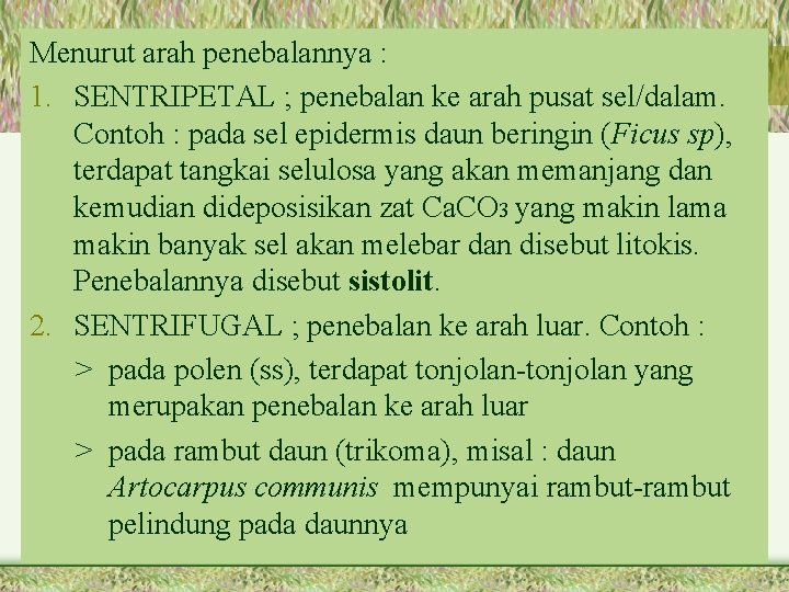 Menurut arah penebalannya : 1. SENTRIPETAL ; penebalan ke arah pusat sel/dalam. Contoh :