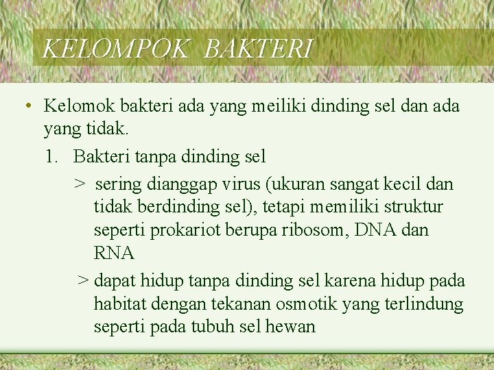 KELOMPOK BAKTERI • Kelomok bakteri ada yang meiliki dinding sel dan ada yang tidak.