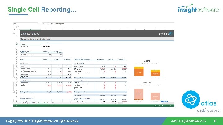 Single Cell Reporting… Copyright © 2018 Insight. Software, All rights reserved. www. insightsoftware. com