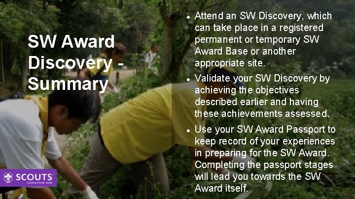  SW Award Discovery Summary Attend an SW Discovery, which can take place in