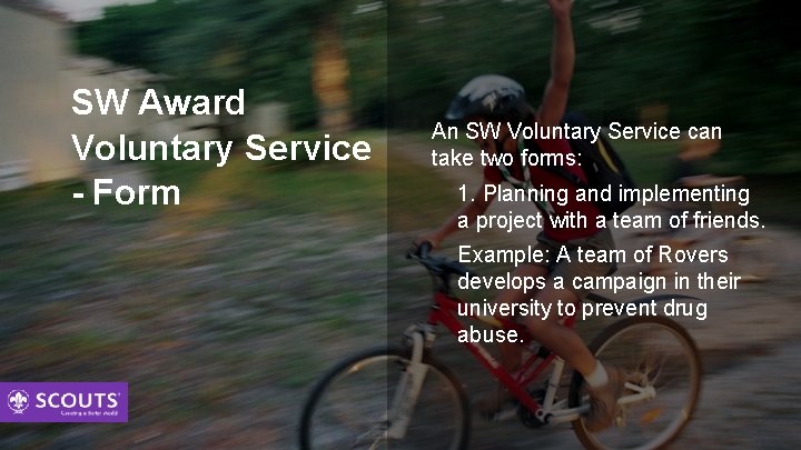 SW Award Voluntary Service - Form An SW Voluntary Service can take two forms: