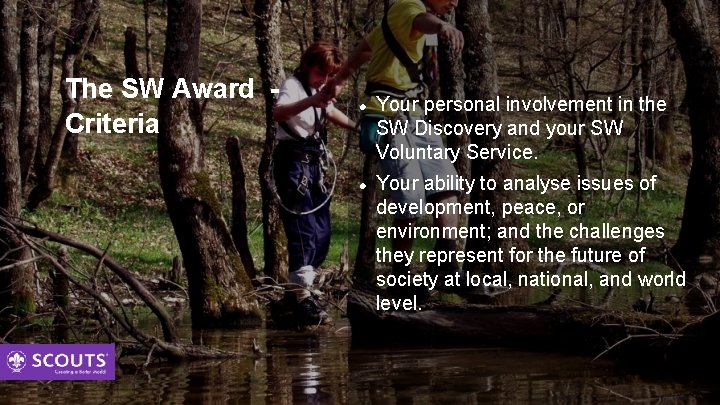 The SW Award Criteria Your personal involvement in the SW Discovery and your SW