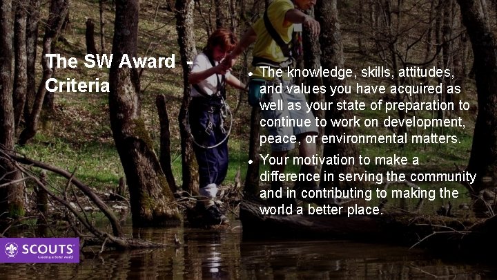 The SW Award Criteria The knowledge, skills, attitudes, and values you have acquired as