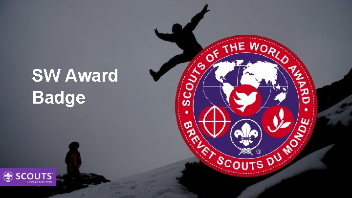 SW Award Badge 