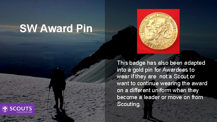 SW Award Pin This badge has also been adapted into a gold pin for