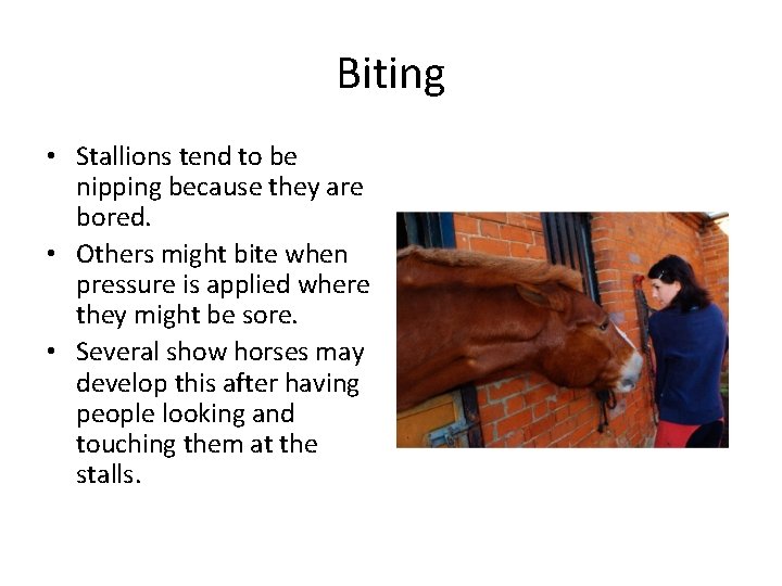 Biting • Stallions tend to be nipping because they are bored. • Others might Biting • Stallions tend to be nipping because they are bored. • Others might