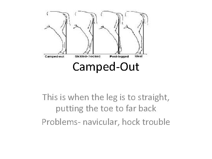 Camped-Out This is when the leg is to straight, putting the to far back Camped-Out This is when the leg is to straight, putting the to far back