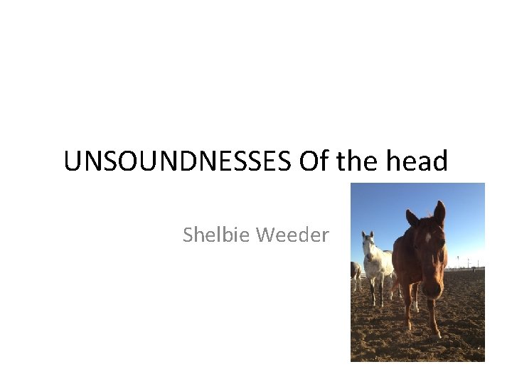 UNSOUNDNESSES Of the head Shelbie Weeder UNSOUNDNESSES Of the head Shelbie Weeder