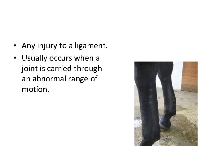 • Any injury to a ligament. • Usually occurs when a joint is • Any injury to a ligament. • Usually occurs when a joint is