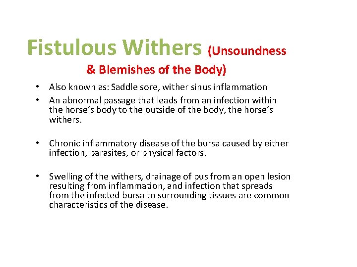 Fistulous Withers (Unsoundness & Blemishes of the Body) • Also known as: Saddle sore, Fistulous Withers (Unsoundness & Blemishes of the Body) • Also known as: Saddle sore,