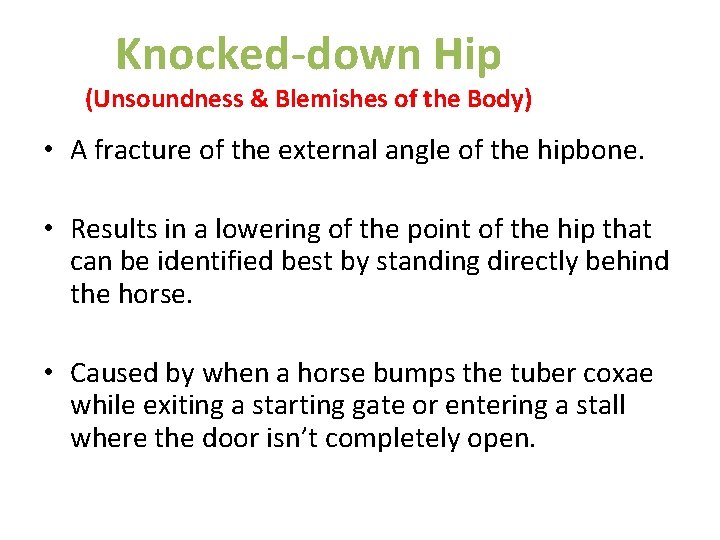 Knocked-down Hip (Unsoundness & Blemishes of the Body) • A fracture of the external Knocked-down Hip (Unsoundness & Blemishes of the Body) • A fracture of the external
