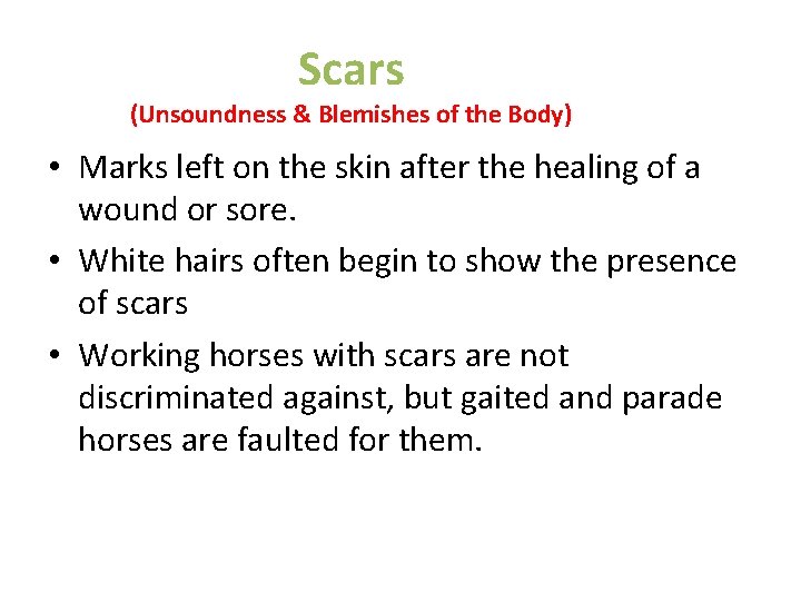 Scars (Unsoundness & Blemishes of the Body) • Marks left on the skin after Scars (Unsoundness & Blemishes of the Body) • Marks left on the skin after