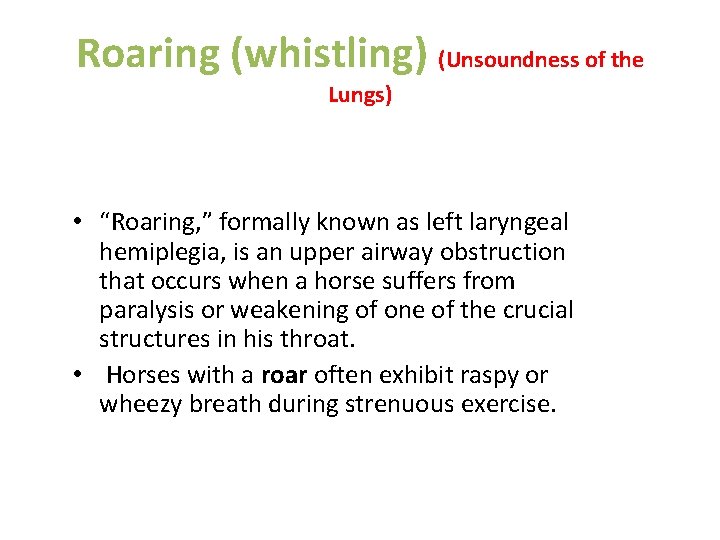 Roaring (whistling) (Unsoundness of the Lungs) • “Roaring, ” formally known as left laryngeal Roaring (whistling) (Unsoundness of the Lungs) • “Roaring, ” formally known as left laryngeal