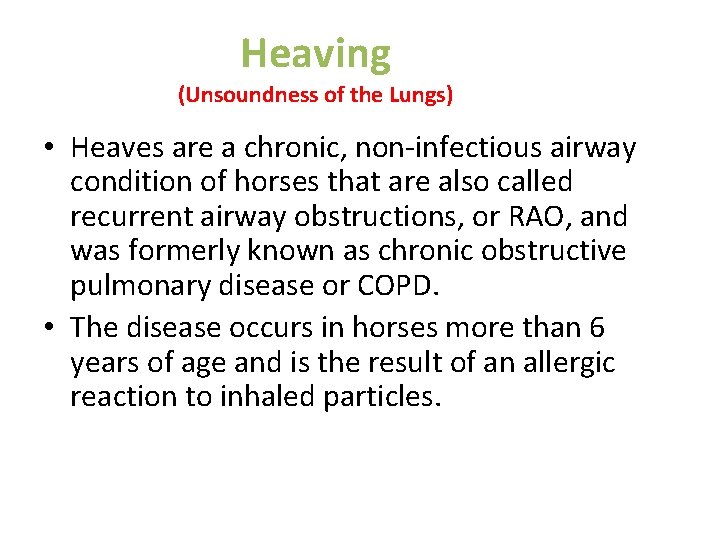 Heaving (Unsoundness of the Lungs) • Heaves are a chronic, non-infectious airway condition of Heaving (Unsoundness of the Lungs) • Heaves are a chronic, non-infectious airway condition of