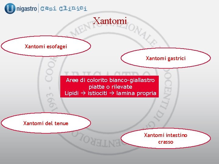 Xantomi esofagei Xantomi gastrici Aree di colorito bianco-giallastro piatte o rilevate Lipidi istiociti lamina