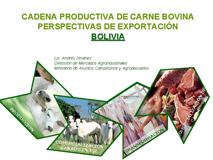 CADENA PRODUCTIVA DE CARNE BOVINA PERSPECTIVAS DE EXPORTACIÓN BOLIVIA N ER IO C C