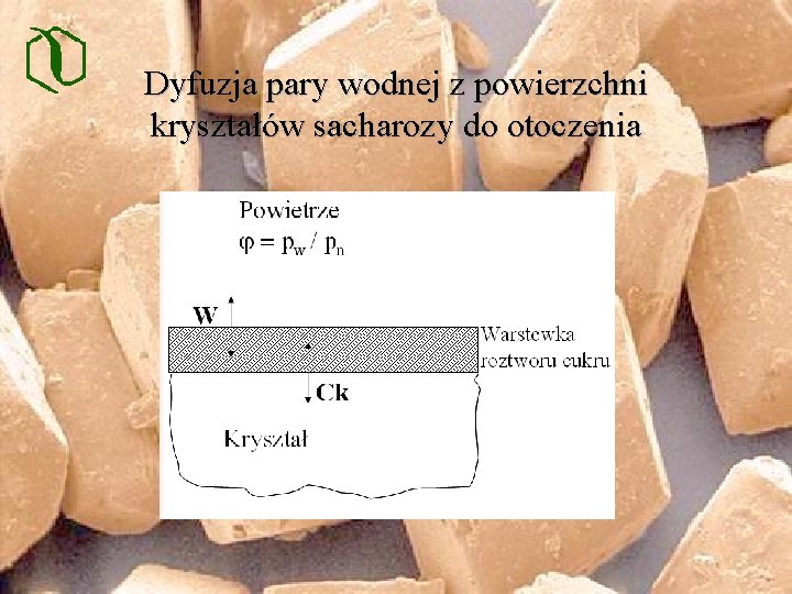 Dyfuzja pary wodnej z powierzchni kryształów sacharozy do otoczenia 