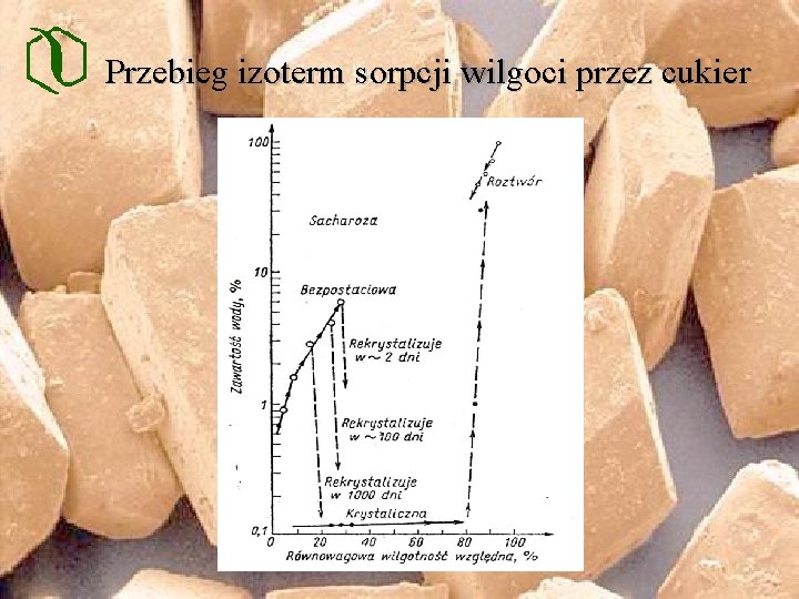 Przebieg izoterm sorpcji wilgoci przez cukier 