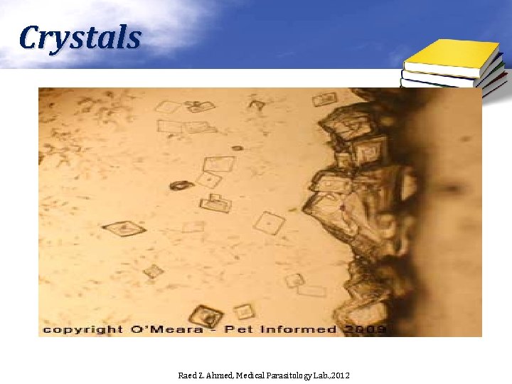 Crystals Raed Z. Ahmed, Medical Parasitology Lab. , 2012 
