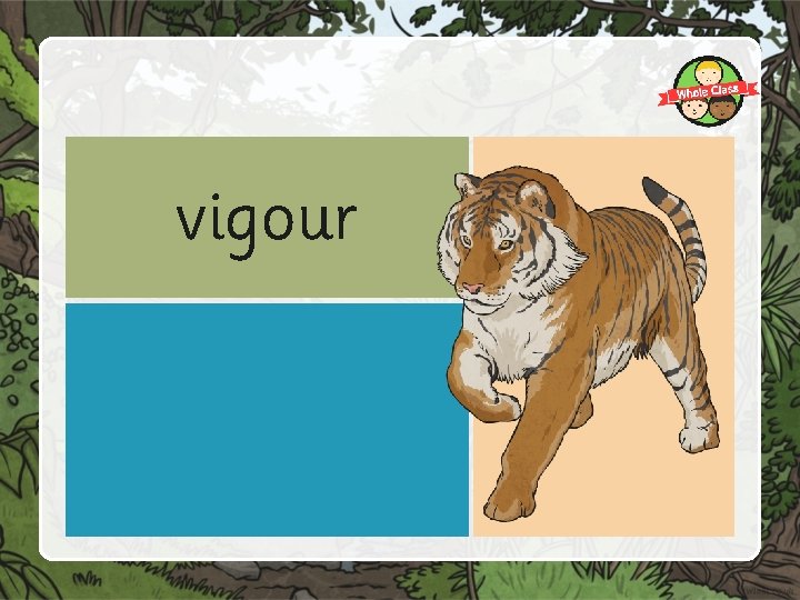 vigour 