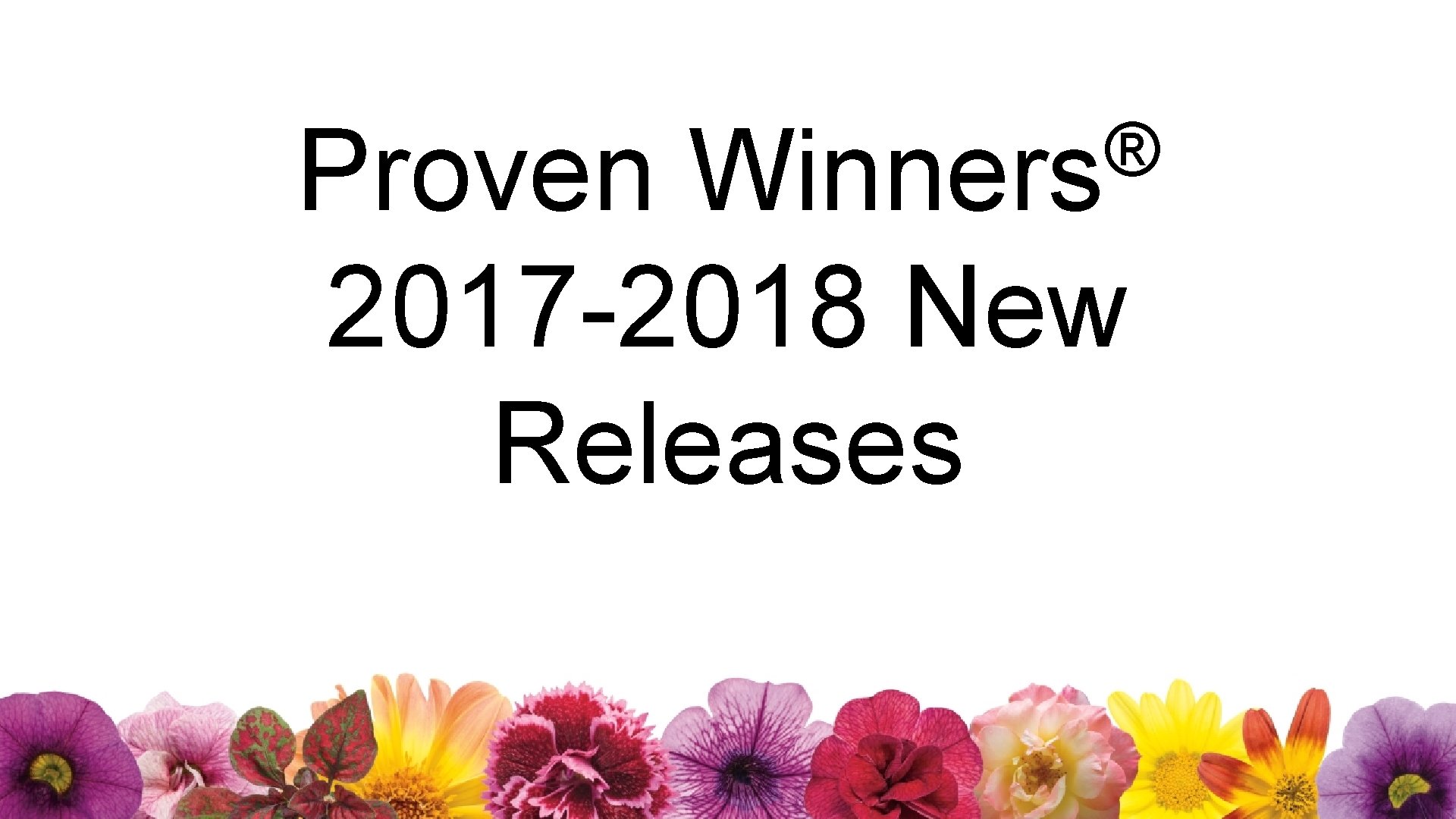® Winners Proven 2017 -2018 New Releases 